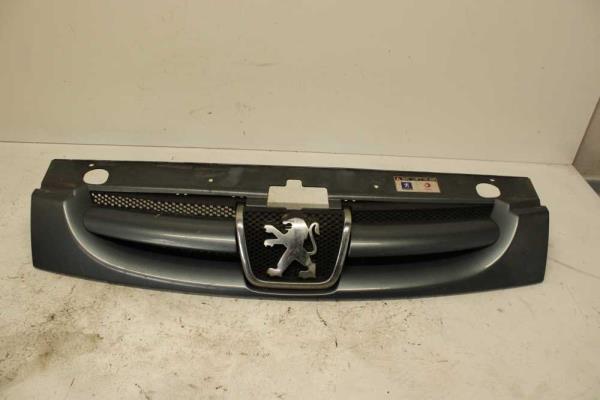 CALANDRE PEUGEOT - Vue 4